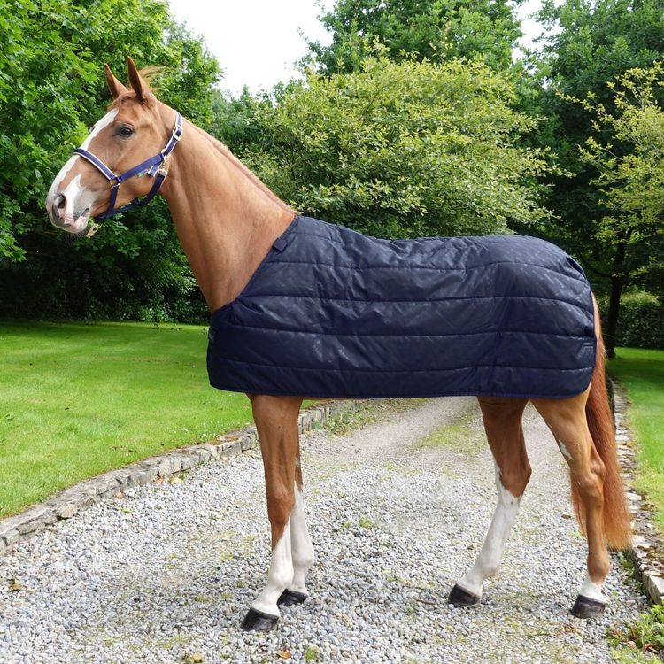 Bucas Liner 100g in navy