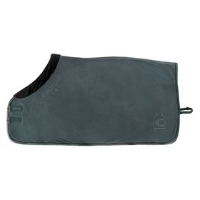 CAVALJOSELLE Abschwitzdecke in silver pine von Cavallo