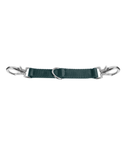 Waldhausen Longierbrille in tannengrün