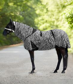 Ekzemer-Fliegendecke Zebra