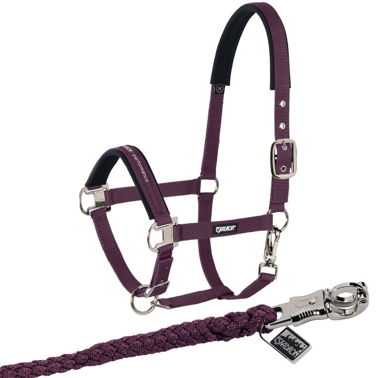 Eskadron  Set Halfter Pin Buckle mit Panikhakenstick in blackberry
