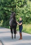 Südwind Stiefel FLORENTINA TALL in braun