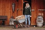 Südwind Stiefelette FIELD FZ GripFTX