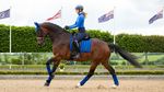 LeMieux Dressur Schabracke Loire Classic Satin Square in benetton blue