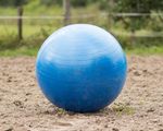 QHP Pferdefußball