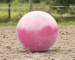 QHP Pferdefußball