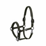 Eskadron Dynamic Halfter Sparkle Double Pin