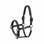Eskadron Dynamic Halfter Sparkle Double Pin