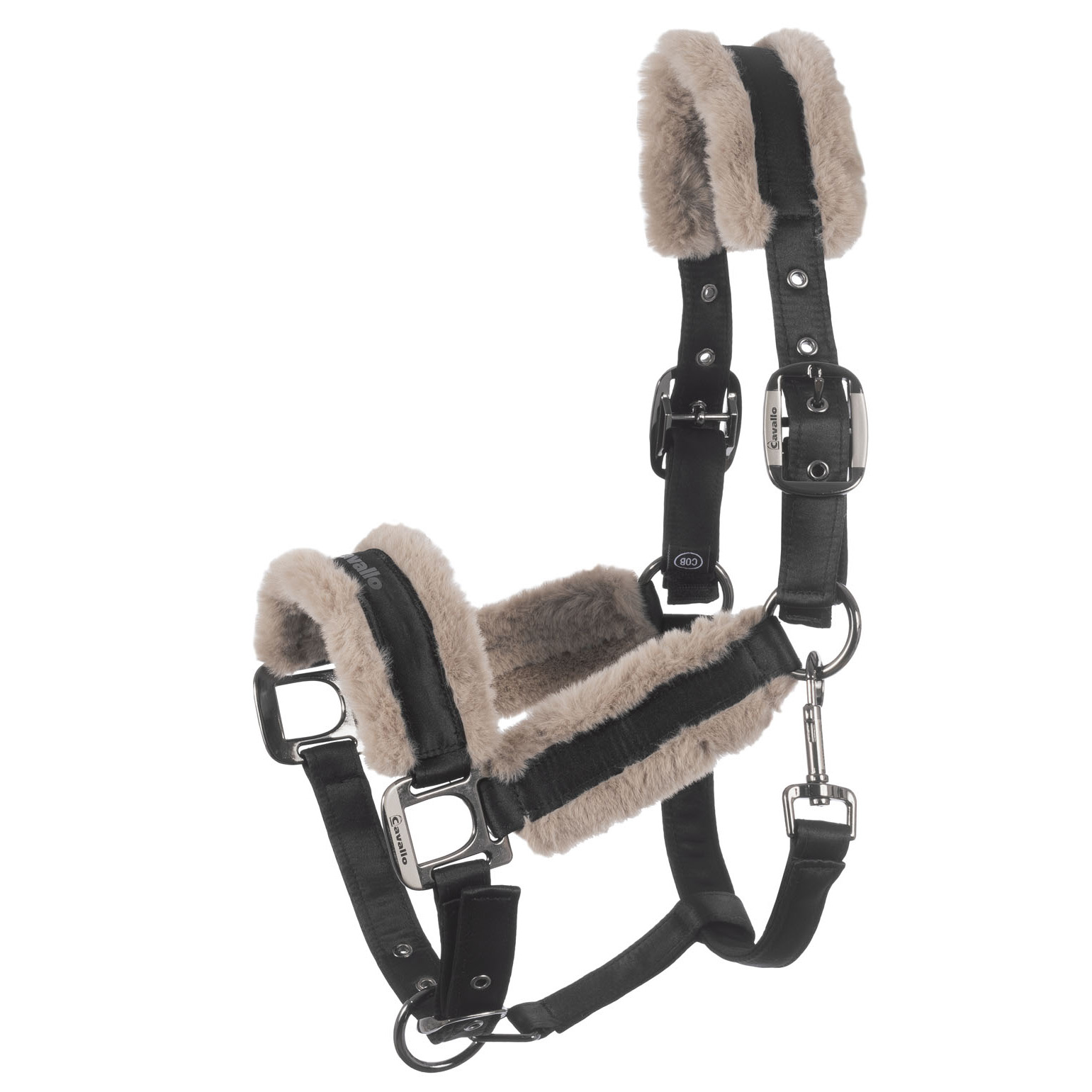 CAVALJERO Halfter in black von Cavallo
