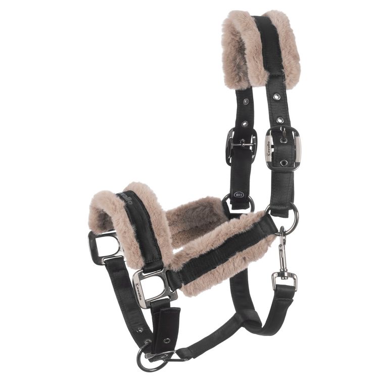 CAVALJERO Halfter in black von Cavallo