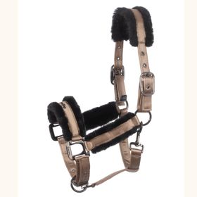 CAVALJERO Halfter in biscuit von Cavallo