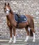 Waldhausen Longiergurt mit zwei Handgriffen in schwarz/rosarot