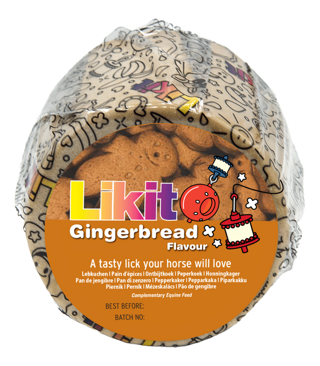 Likit Lebkuchen Leckstein 650g 