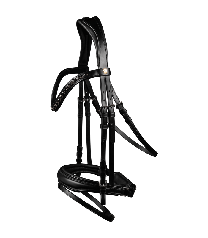 Waldhausen S-Line Lacktrensenzaum Blackshine