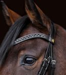 Waldhausen S-Line Lacktrensenzaum Blackshine