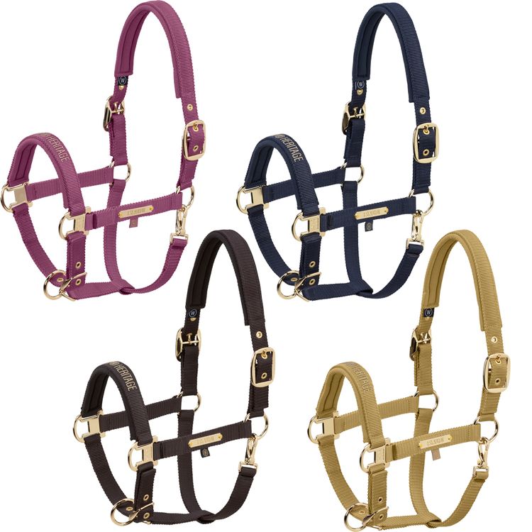 Eskadron Heritage Halfter Girth Double Pin