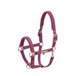 Eskadron Heritage Halfter Girth Double Pin