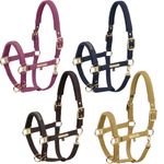 Eskadron Heritage Halfter Girth Double Pin