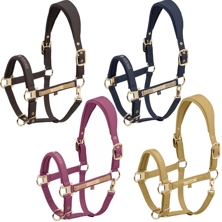 Eskadron Heritage Halfter Faux Leather Double Pin