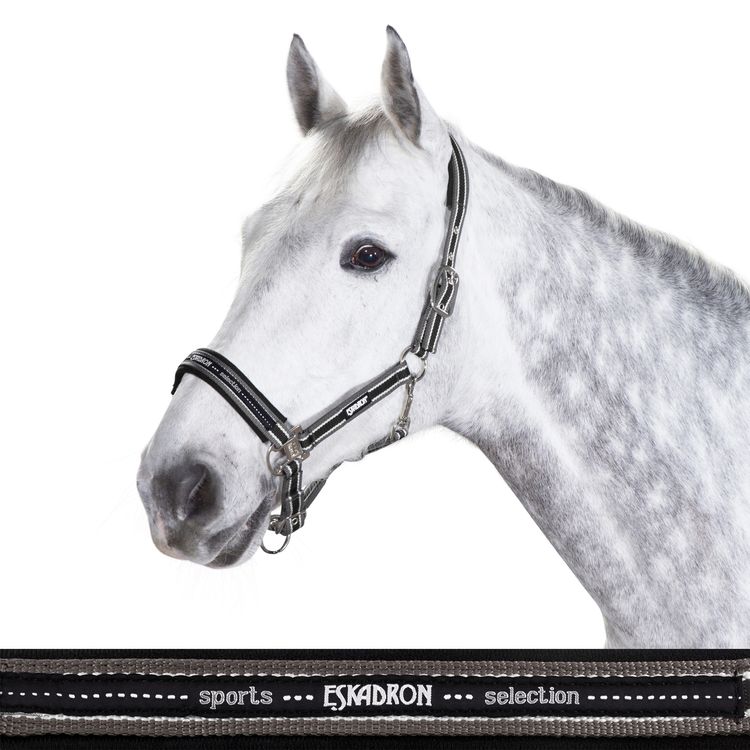 Eskadron Halfter Dornschnalle New Basic in anthra-white-black, Pony 2