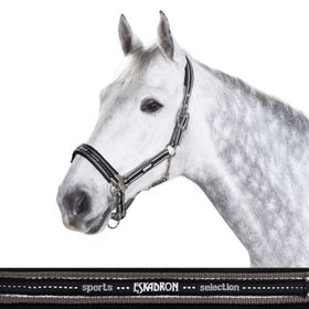 Eskadron Halfter Dornschnalle New Basic in anthra-white-black, Pony 2