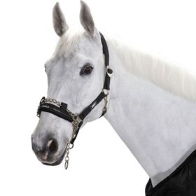 Eskadron Halfter Control Sliding Buckle, black Gr. Pony 2