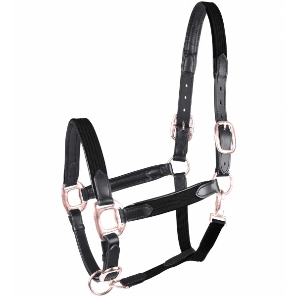 Waldhausen Star Halfter Mix in schwarz/rosegold, Größe Pony
