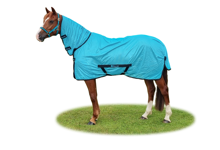 Bucas Freedom Fly Sheet in Sweet blue F/N Shetty/Pony