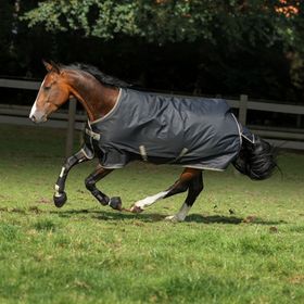 Bucas Freedom Turnout light in black/taupe Pony