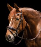 Waldhausen S-Line Trensenzaum braun Essential