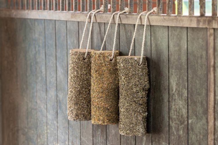 Delizia® Knabberholz Bronchial 2kg