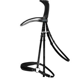 Passier Trense Confidence in schwarz/Edelstahl hannoversche Reithalfter