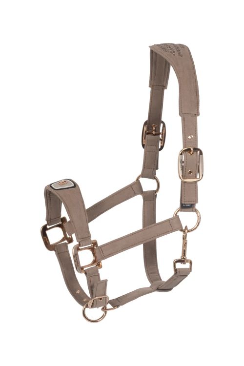 CAVALPAWEL Halfter in mocha latte von Cavallo