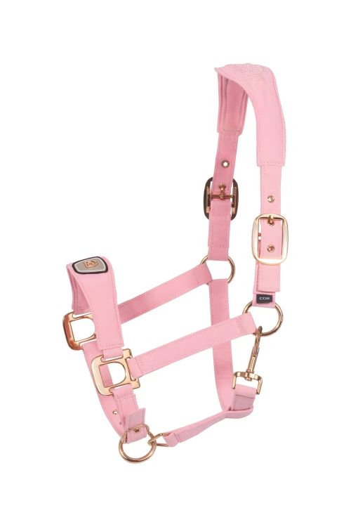 CAVALPAWEL Halfter in powder pink von Cavallo