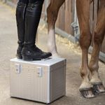 Aleon EquiLux Case Putzbox - Platinum