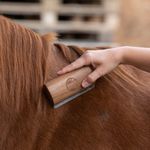 MagicBrush Fellboy kurz