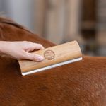 MagicBrush Fellboy lang