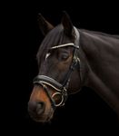 Waldhausen X-Line Trensenzaum Ivory schwarz 