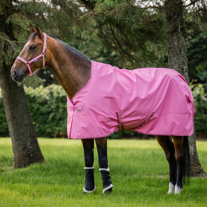 Bucas Freedom Turnout light in aurora pink