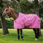 Bucas Freedom Turnout light in aurora pink