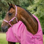 Bucas PONY Freedom Turnout light in aurora pink