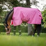 Bucas PONY Freedom Turnout light in aurora pink