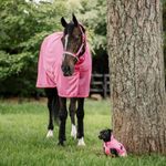 Bucas Freedom Fly Sheet in aurora pink