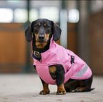 Bucas Freedom Hundemantel in aurora pink