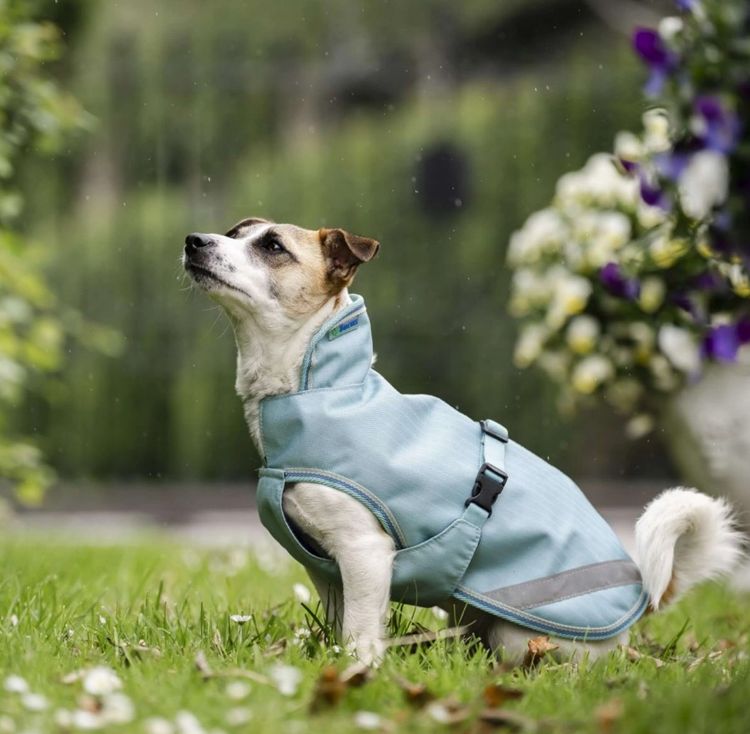 Bucas Freedom Hundemantel in turquoise