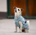 Bucas Freedom Hundemantel in turquoise