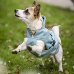 Bucas Freedom Hundemantel in turquoise
