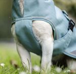 Bucas Freedom Hundemantel in turquoise