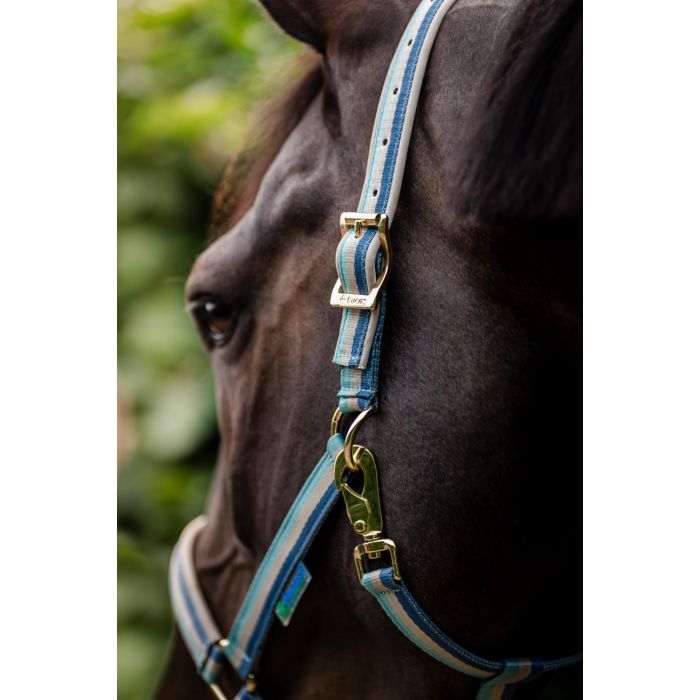 Bucas Halfter Dublin turquoise