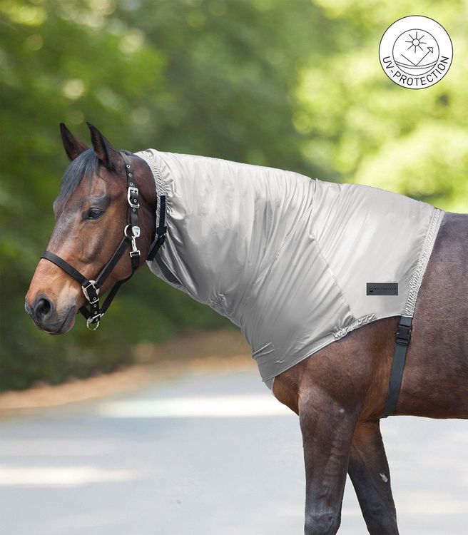 Waldhausen Ekzemer-Halsteil in silbergrau